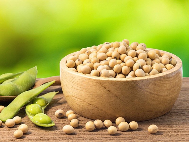 soya beans